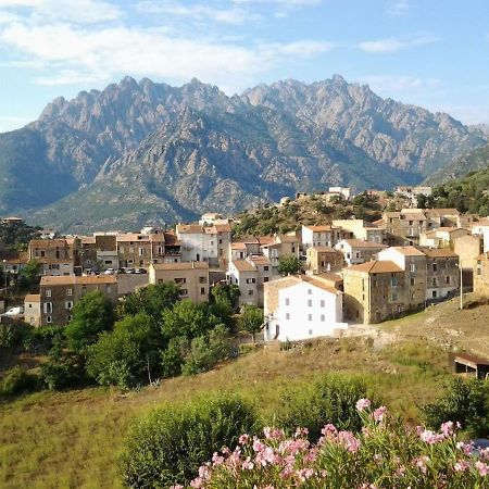 Maison De Village Moltifao ภายนอก รูปภาพ
